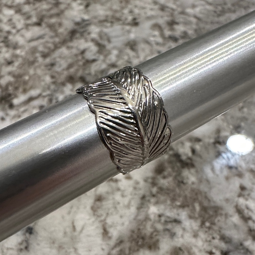 Silver Feather Ear Band